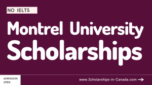Montreal University Scholarships Without IELTS